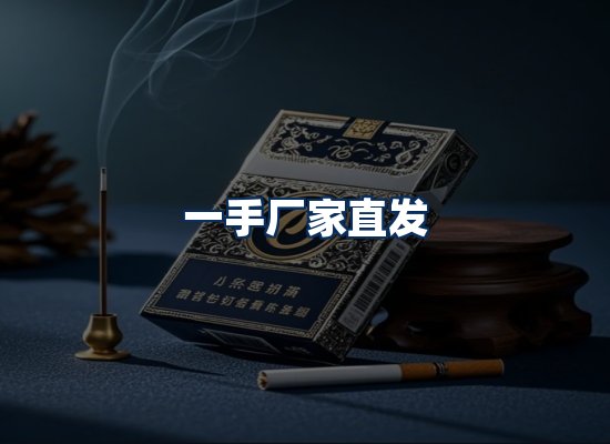 专业团队办公环境